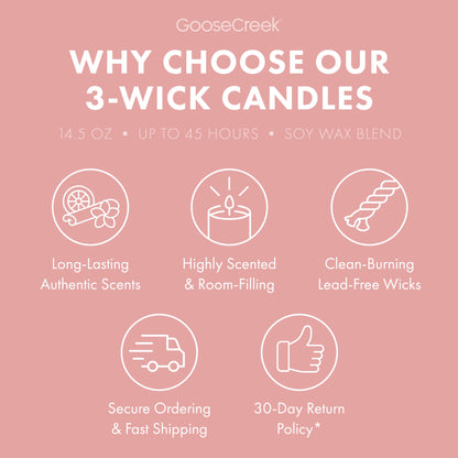 Dragonfruit Splash 3-Wick Candle