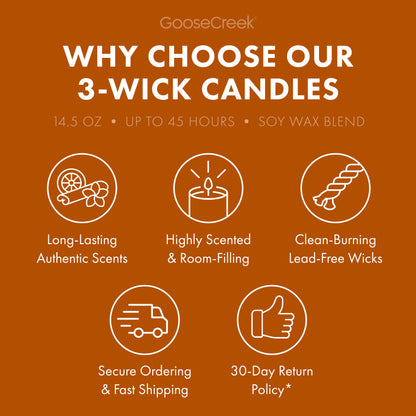Golden Coconut Glow 3-Wick Candle