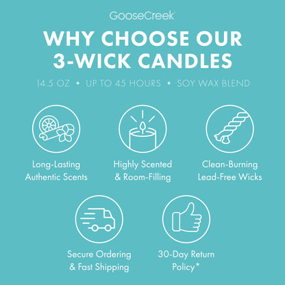 Hey Arnold Nickelodeon 3-Wick Candle