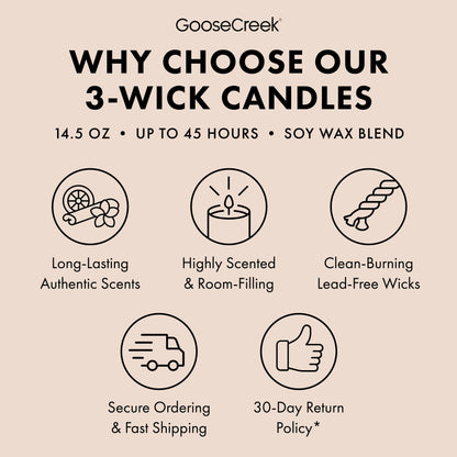Ivory Pumpkin 3-Wick Candle
