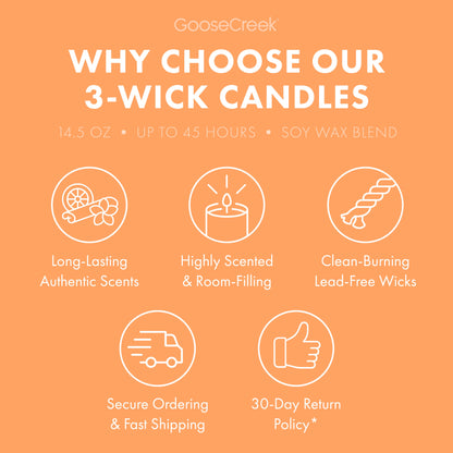 Mango Spritz 3-Wick Candle