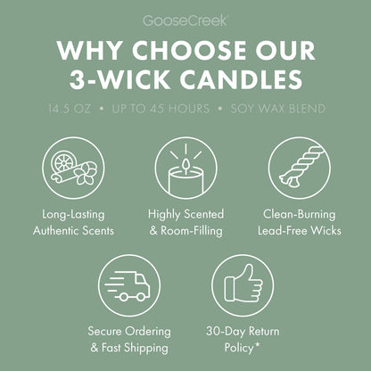 Minted Eucalyptus 3-Wick Candle