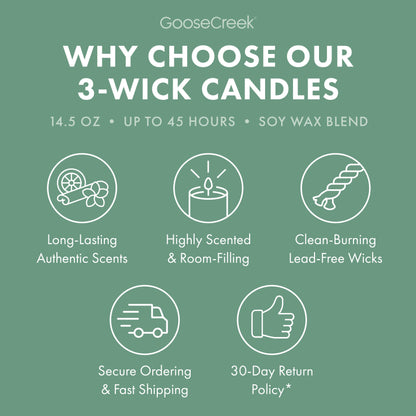 Minted Eucalyptus 3-Wick Candle