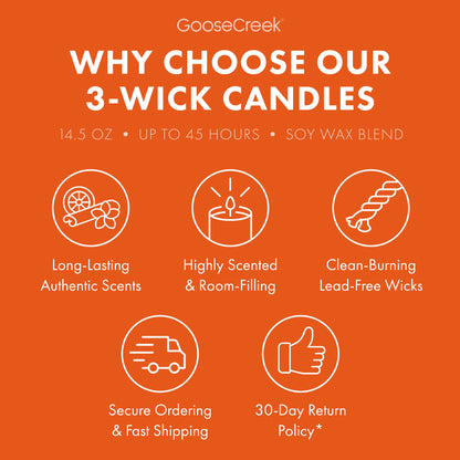 Nickelodeon 3-Wick Candle