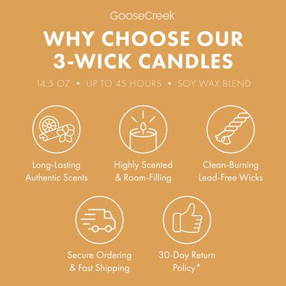 Vanilla Sands 3-Wick Candle