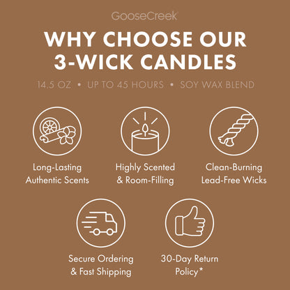 Warm Coconut Sands 3-Wick Candle