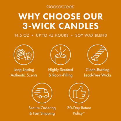 Warm Spice Cake 3-Wick Candle